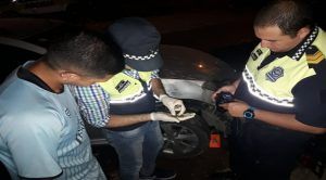 5A01084A-3A1D-4E03-A095-488FAF13A3F7