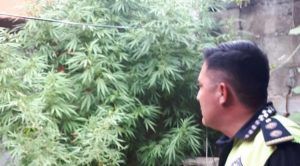 81EF3DB9-44EF-4F02-AF1A-B7229C92E4D8