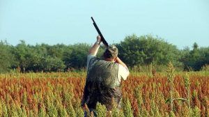 B060687E-5FCB-474A-829B-6320EB6F38E4