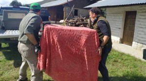 B4B6DCB4-4694-4469-B500-583EA2593919