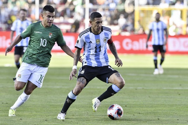 DIMARIA-BOLIVIA