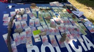 E0D5982D-AC12-4AB0-9FB7-69D7E86D032A