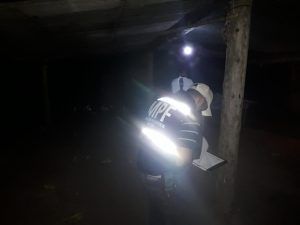 HECHO DE SANGRE EN LA FLORIDA (2)