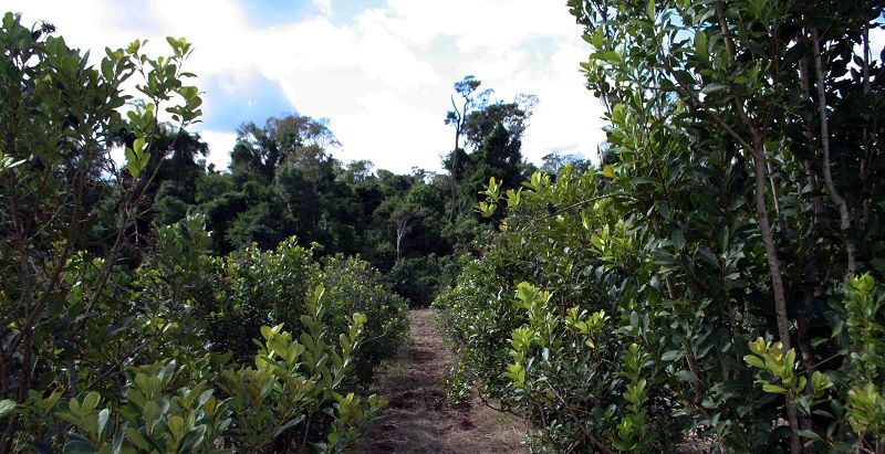 buenos-aires-la-ruta-de_676831