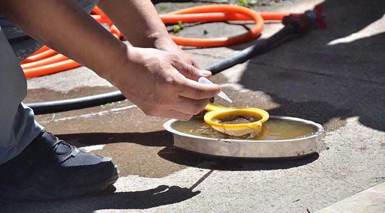 dengue-operativo3 (1)