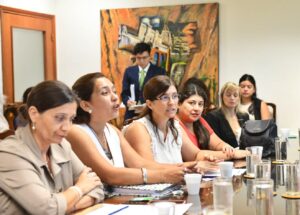 leyimplementaciondiscapacidad